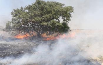 حريق اندلع  اليوم في منطقة مفلاسيم بغلاف غزة بفعل بالون حارق