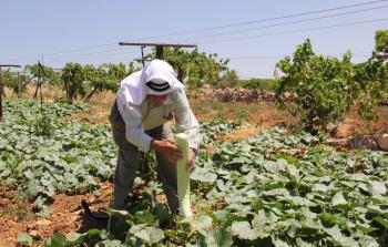 المزارعين الفلسطينيين بالضفة الغربية - ارشيفية