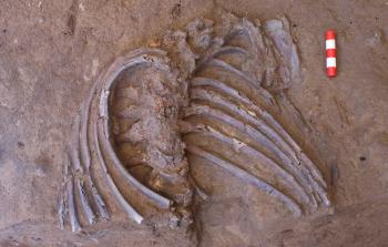 شاهد: أكتشاف أثري في العراق قد يفجر مفاجآت عن الإنسان القديم