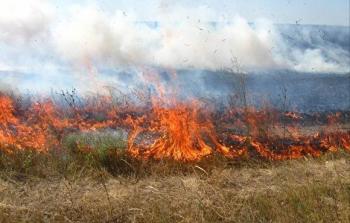 إحراق الحقول الزراعية- توضيحية