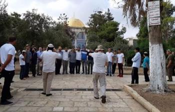 مستوطنون يستأنفون اقتحاماتهم الاستفزازية للمسجد الأقصى ارشيف