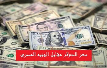 سعر الدولار مقابل الجنيه المصري اليوم السبت