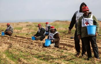 مزارعون في اراضهم قرب حدود غزة