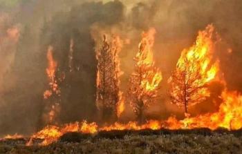  الحرائق في لبنان