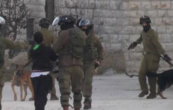 جنود الاحتلال يخوفون طفل بالكلاب