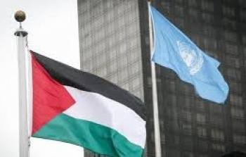 علم الأمم المتحدة وعلم فلسطين