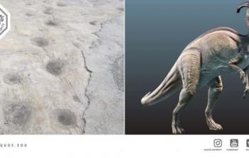 آثار دنياصورات _ جامعة القدس