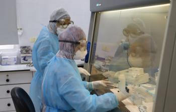 كورونا غزة - أرشيفية