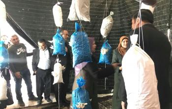 التربية تفتح مشروعاً لزراعة الفطر في مدرسة بنات قراوة بني حسان الثانوية