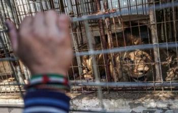 حديقة حيوان بغزة