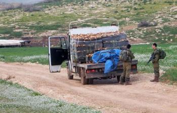 هدم بسطات خضار في الأغوار الشمالية