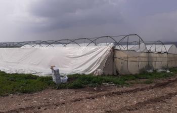 خسائر كبيرة للمزارعين في الاغوار الشمالية جراء المنخفض الجوي
