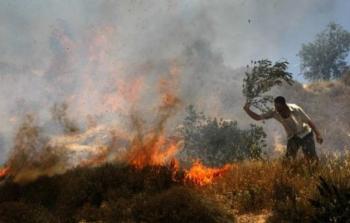 مستوطنون أشعلوا النار بحقول زراعية شمال نابلس