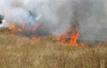 اشتعال النار في حقول القمح الإسرائيلية بفعل طائرة ورقية أطلقها المتظاهرون الفلسطينيون