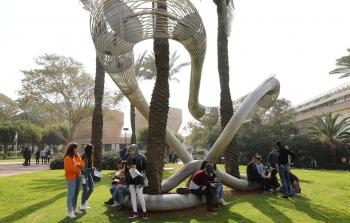 تظاهرة بجامعة تل ابيب نصرة لغزة وتنديداً بنقل السفارة الامريكية