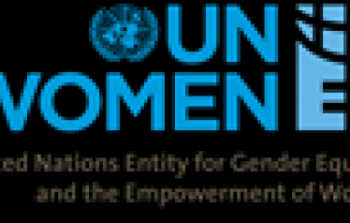 هيئة الامم المتحدة لتمكين المراة والمساواة