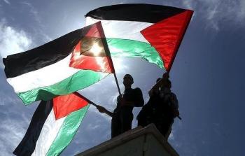 علم فلسطين - تعبيرية