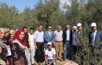 جامعة فلسطين