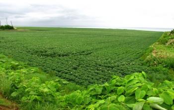 زراعة غزة تفعل خطة الطوارئ