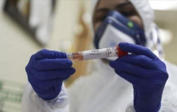 فلسطين كورونا