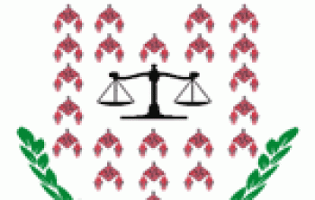 مجلس منظمات حقوق الانسان