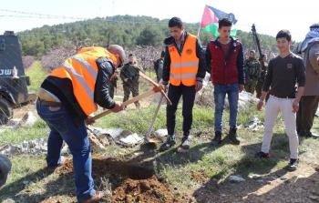 الاحتلال يحتجز مواطنين أثناء توجههم للمشاركة بزراعة أشجار الزيتون 