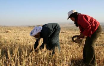 الزراعة تسلم تعويضات لمزارعين في طوباس تضرروا بسبب المنخفضات الجوية