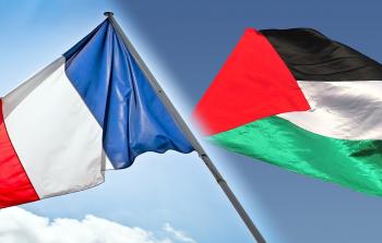 فرنسا وفلسطين