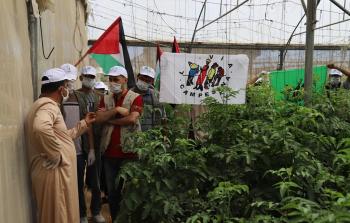 العمل الزراعي وحركة طريق الفلاحين الفلسطينية ينفذان زيارة تضامنية لمزارعي الدفيئات الزراعية برفح