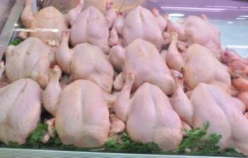 أسعار اللحوم والدجاج في غزة اليوم الجمعة - سعر كيلو الدجاج