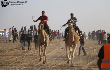 سباق الهجن الأول في غزة