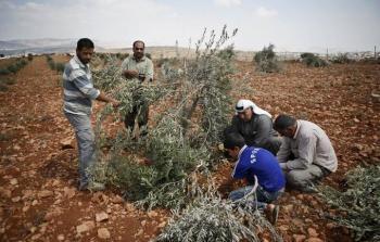 مزارعون فلسطينيون - أرشيفية