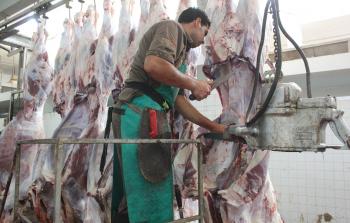 ذبح رأس ماشية في غزة