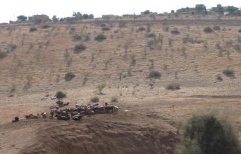 صدور العدد 172 من الوقائع الفلسطينية -توضيحية-