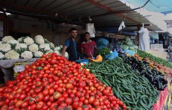 الخضروات في أسواق غزة