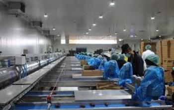 مؤسسة صناعية- ارشيفية