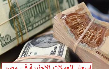 اسعار العملات الاجنبية في مصر اليوم اسعار السوق السوداء