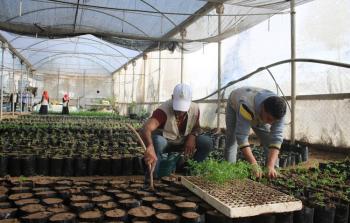 العمال في الحمام الزراعي