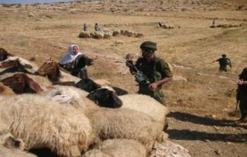 ارشيفية -