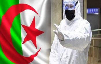 الجزائر: انخفاض أعداد الوفيات والإصابات بكورونا