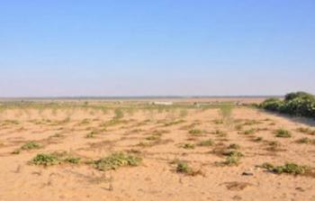 ارض المندوب في رفح وخانيونس جنوب قطاع غزة