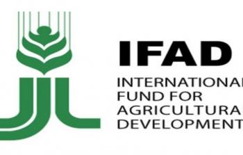 الصندوق الدولي للتنمية الزراعية
