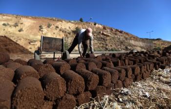 مخلفات عصر الزيتون- أرشيفية