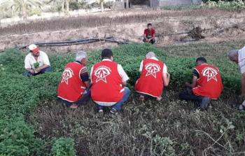 الجبهة الديمقراطية لتحرير فلسطين