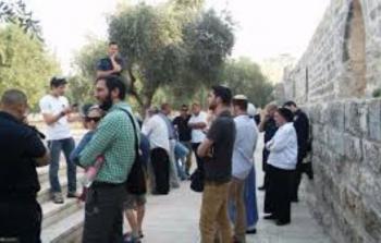 مستوطنون يقتحمون منطقة نبع الحنية في بيت لحم