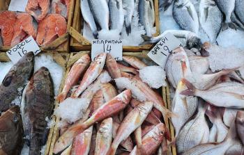 ضبط لصوص سرقوا 30 كيلو سمك في رفح