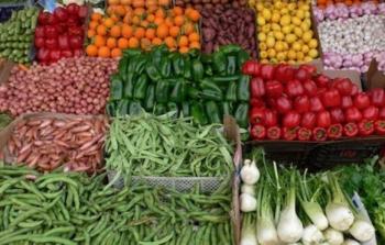 خضراوات فلسطينية -ارشيف-