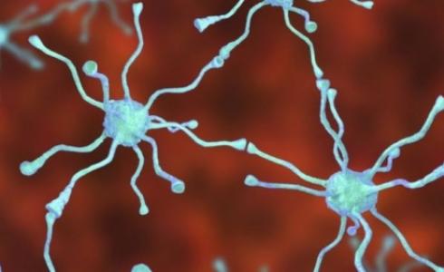 يبحث العلماء أيضا عن سبل لاستبدال الخلايا العصبية المنتجة للدوبامين عن طريق حقن خلايا جديدة في المخ