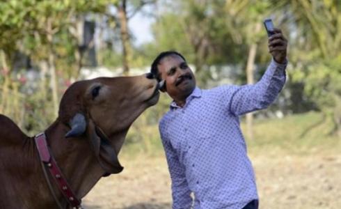 السلفي وأبعاده