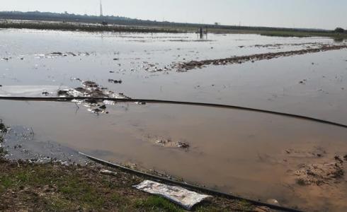 الزراعة تتفقد المزارع المتضررة شرق غزة